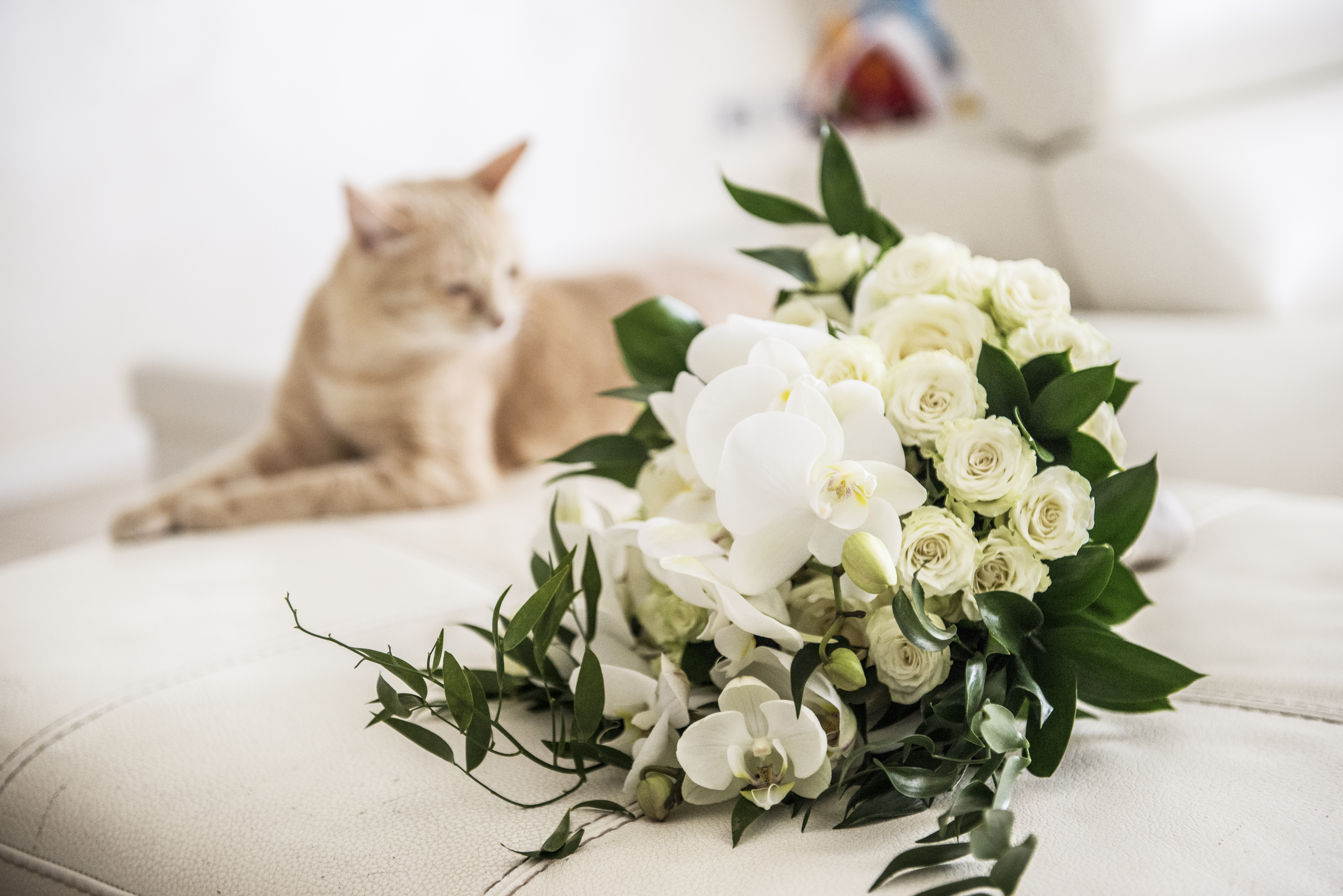 bouquet sposa bianco
